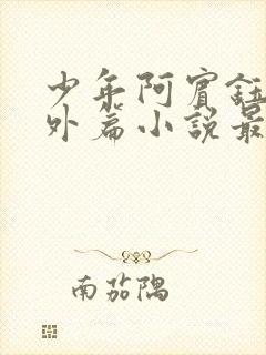 少年阿宾钰慧番外篇小说最新章节列封面