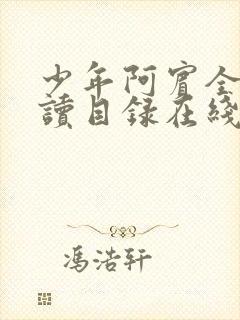 少年阿宾全文阅读目录在线阅读黄小洁封面