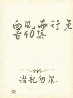 向风而行免费观看40集