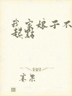 我家娘子不对劲起点封面