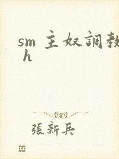 sm 主奴调教 h
