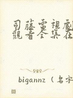 司藤电视剧免费观看全集在线观看