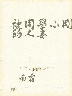 被同学小刚征服的人妻封面