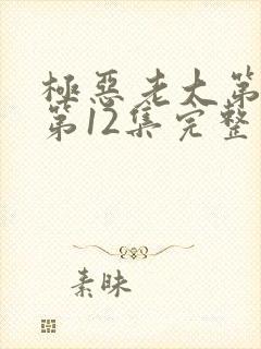 极恶老大第二季第12集完整版