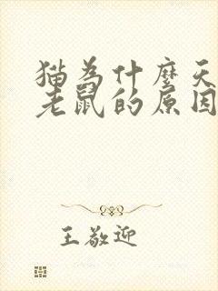 猫为什么天生抓老鼠的原因