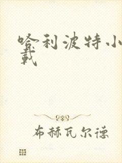 哈利波特小说下载封面