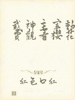 武神主宰动漫免费观看樱花动漫