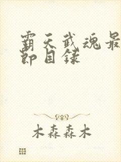 霸天武魂最新章节目录