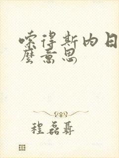 嗦得斯内日语什么意思