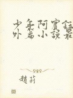 少年阿宾钰慧番外篇小说最新章节列