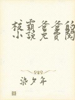 校霸爸爸的秘密小说免费阅读