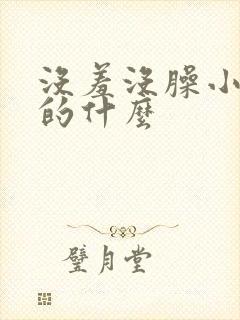 没羞没臊小说讲的什么