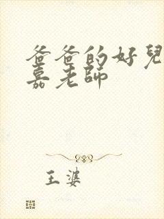 爸爸的好儿子麦嘉老师封面