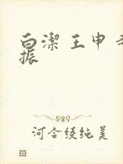 白洁 王申 赵振封面