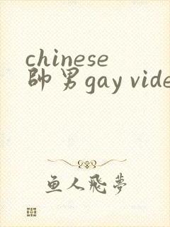 chinese帅男gay videos