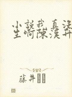 小说我真没想重生啊陈汉升封面