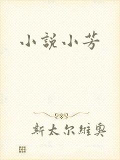 小说小芳