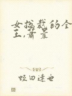 女总裁的全能兵王,萧晨