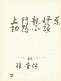 上门龙婿叶晨萧初然小说