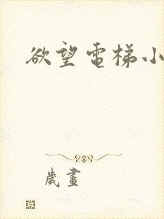 欲望电梯小说封面