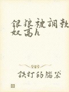 银狼被调教成肉奴高h