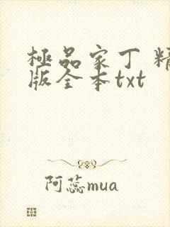 极品家丁 精校版全本txt