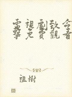 电视剧致命的一击免费观看全集高清