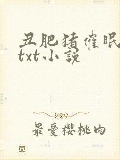 丑肥猪催眠美人txt小说