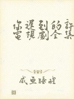 你迟到的许多年电视剧全集免费观看