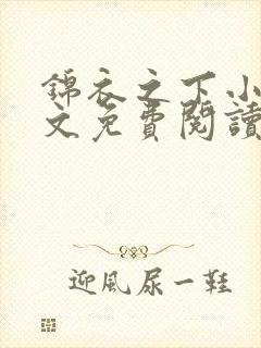 锦衣之下小说全文免费阅读无弹窗封面