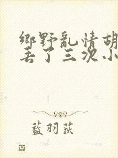 乡野乱情胡秀英丢了三次小说