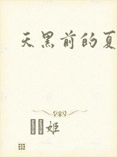 天黑前的夏天