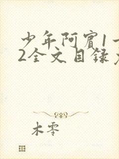 少年阿宾1一72全文目录免费下载