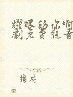 耀眼的你啊电视剧免费观看高清封面