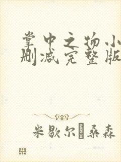 掌中之物小说无删减完整版