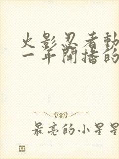 火影忍者动漫哪一年开播的