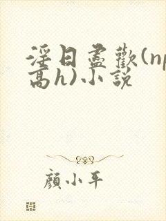 淫日尽欢(np高h)小说