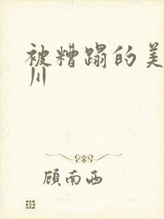 被糟蹋的美人一川封面