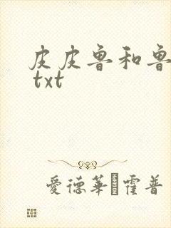 皮皮鲁和鲁西西 txt封面