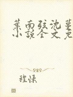 叶南弦沈蔓歌的小说全文免费阅读封面