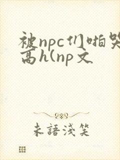 被npc们啪哭高h(np文
