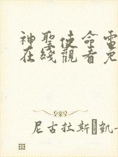 神圣使命电视剧在线观看免费