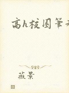 高h校园笔趣阁封面