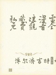 私藏浪漫电视剧免费观看全集在线播放