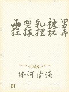 两双乳被男人疯狂揉捏玩弄小说封面