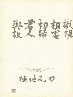 与君初相识恰似故人归电视剧