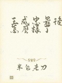 王成忠最后结局怎么样了