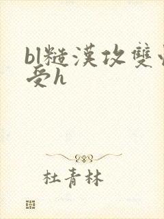 bl糙汉攻双性受h