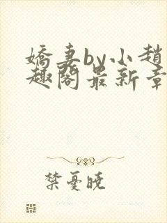 娇妻by小赵笔趣阁最新章节