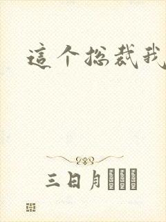 这个总裁我要了